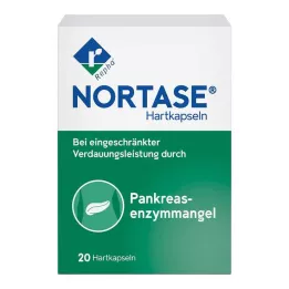 NORTASE Cápsulas, 20 unidades