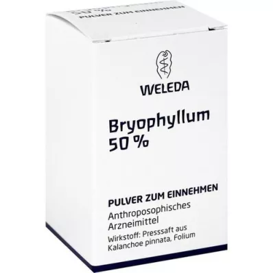 BRYOPHYLLUM 50% pó para uso oral, 20 g