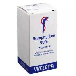 BRYOPHYLLUM 50% pó para uso oral, 20 g
