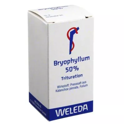 BRYOPHYLLUM 50% pó para uso oral, 20 g BRYOPHYLLUM 50% pó para uso oral, 20 g