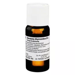 GLANDULA THYREOIDEA Diluição D 6, 50 ml