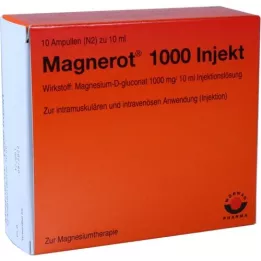 MAGNEROT 1000 Ampolas de injeção, 10X10 ml