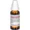 CALADIUM seguinum D 3 diluição, 20 ml