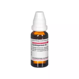 CARDIOSPERMUM D 1 diluição, 20 ml
