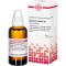 EQUISETUM ARVENSE Diluição D3, 50 ml