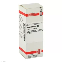 GENTIANA LUTEA Diluição D 2, 20 ml