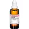 HAMAMELIS D 1 diluição, 50 ml