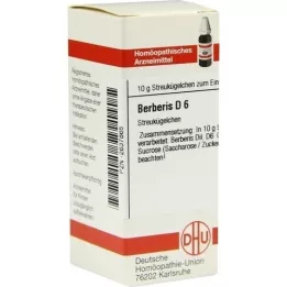 BERBERIS D 6 glóbulos, 10 g