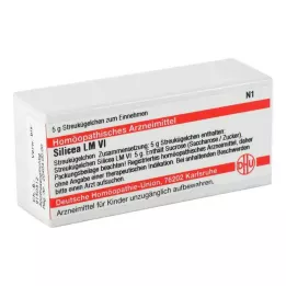 SILICEA LM VI Glóbulos, 5 g