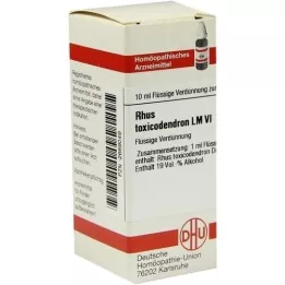 RHUS TOXICODENDRON LM VI Diluição, 10 ml