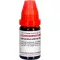 ARSENICUM ALBUM LM XII Diluição, 10 ml