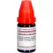 ARSENICUM ALBUM LM XXX Diluição, 10 ml