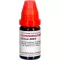 SILICEA LM XXIV Diluição, 10 ml