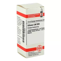 SILICEA LM XXX Diluição, 10 ml