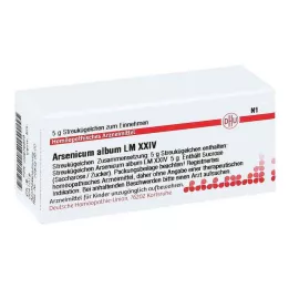 ARSENICUM ALBUM LM XXIV Glóbulos, 5 g