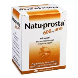 NATUPROSTA 600 mg uno comprimidos revestidos por película, 60 unidades