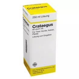 CRATAEGUS Diluição vet., 250 ml