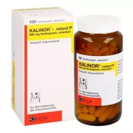 KALINOR retard P 600 mg cápsulas duras, 100 unid