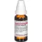 CURCUMA LONGA Diluição D 4, 20 ml