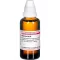 HAMAMELIS Diluição D 3, 50 ml