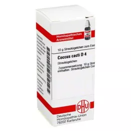 COCCUS cactos D 4 glóbulos, 10 g