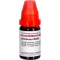 ABROTANUM LM XXX Diluição, 10 ml