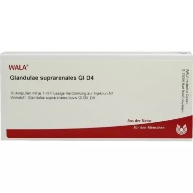 GLANDULAE SUPRARENALES GL D 4 ampolas, 10X1 ml