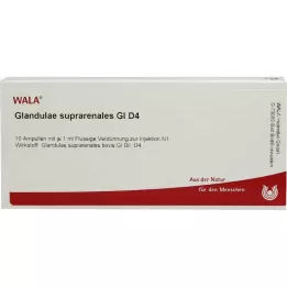GLANDULAE SUPRARENALES GL D 4 ampolas, 10X1 ml