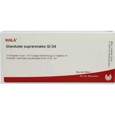 GLANDULAE SUPRARENALES GL D 4 ampolas, 10X1 ml