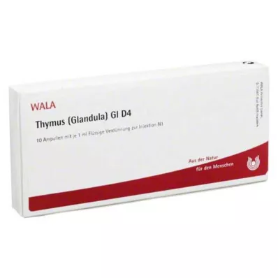 THYMUS GLANDULA GL D 4 ampolas, 10X1 ml