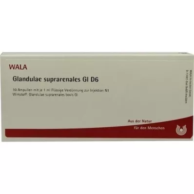 GLANDULAE SUPRARENALES GL D 6 ampolas, 10X1 ml