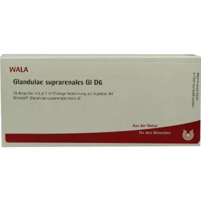 GLANDULAE SUPRARENALES GL D 6 ampolas, 10X1 ml GLANDULAE SUPRARENALES GL D 6 ampolas, 10X1 ml