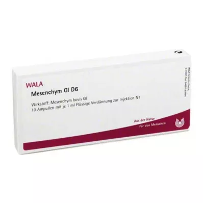 MESENCHYM GL D 6 ampolas, 10X1 ml MESENCHYM GL D 6 ampolas, 10X1 ml