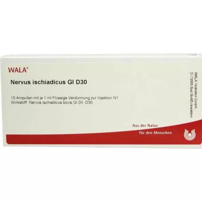 NERVUS ISCHIADICUS GL D 30 ampolas, 10X1 ml NERVUS ISCHIADICUS GL D 30 ampolas, 10X1 ml