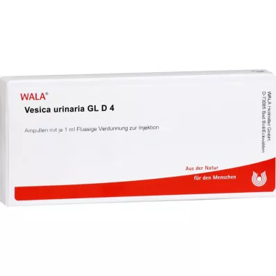 VESICA URINARIA GL D 4 ampolas, 10X1 ml