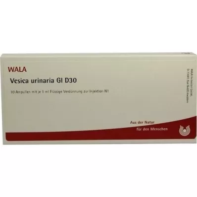 VESICA URINARIA GL D 30 ampolas, 10X1 ml