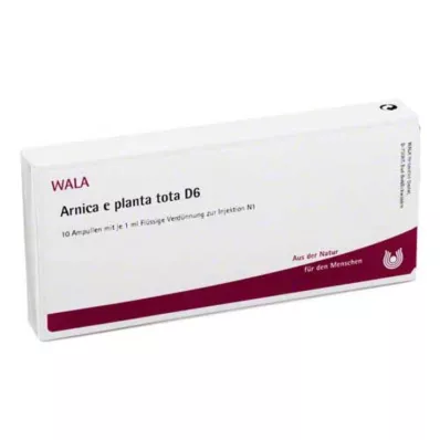 ARNICA E Planta tota D 6 ampolas, 10X1 ml ARNICA E Planta tota D 6 ampolas, 10X1 ml