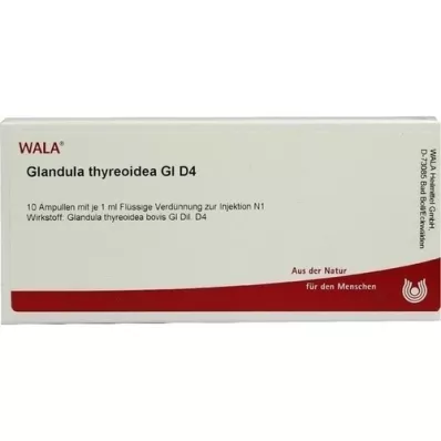 GLANDULA THYREOIDEA GL D 4 ampolas, 10X1 ml