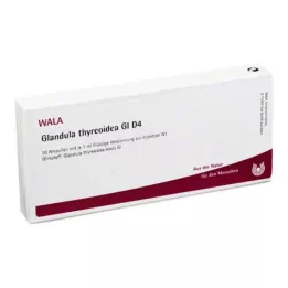 GLANDULA THYREOIDEA GL D 4 ampolas, 10X1 ml