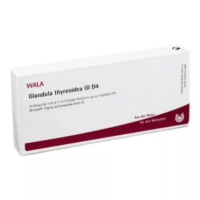 GLANDULA THYREOIDEA GL D 4 ampolas, 10X1 ml