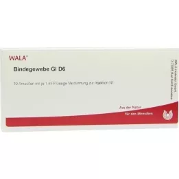 BINDEGEWEBE GL D 6 ampolas, 10X1 ml