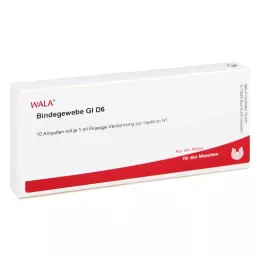 BINDEGEWEBE GL D 6 ampolas, 10X1 ml