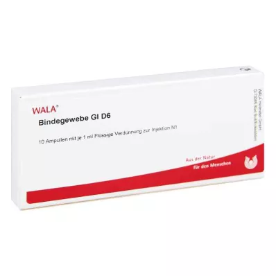 BINDEGEWEBE GL D 6 ampolas, 10X1 ml