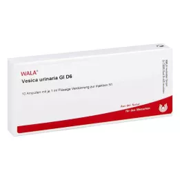 VESICA URINARIA GL D 6 ampolas, 10X1 ml