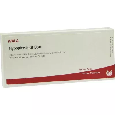 HYPOPHYSIS GL D 30 ampolas, 10X1 ml HYPOPHYSIS GL D 30 ampolas, 10X1 ml