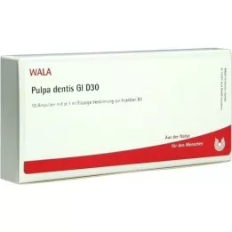 PULPA DENTIS GL D 30 ampolas, 10X1 ml