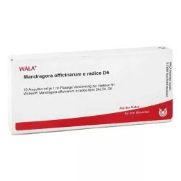 MANDRAGORA OFFICINARIUM e radice D 6 ampolas, 10X1 ml