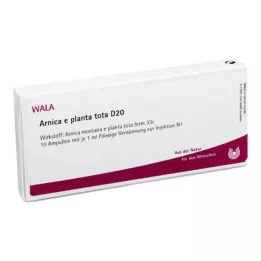 ARNICA E Planta tota D 20 ampolas, 10X1 ml