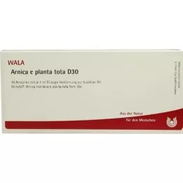 ARNICA E Planta tota D 30 ampolas, 10X1 ml