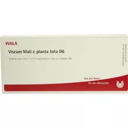 VISCUM MALI e planta tota D 6 ampolas, 10X1 ml